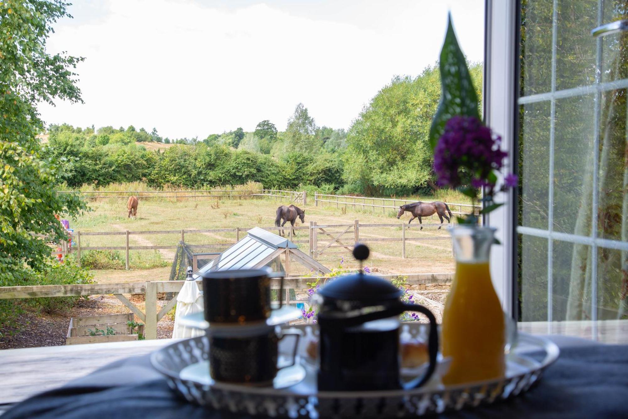 Cherry Orchard Farm South Wraxall Oda fotoğraf