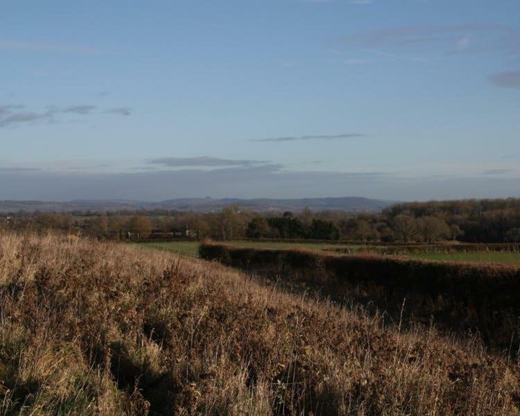Cherry Orchard Farm South Wraxall Dış mekan fotoğraf