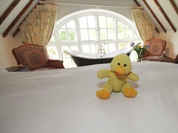Cherry Orchard Farm South Wraxall Dış mekan fotoğraf